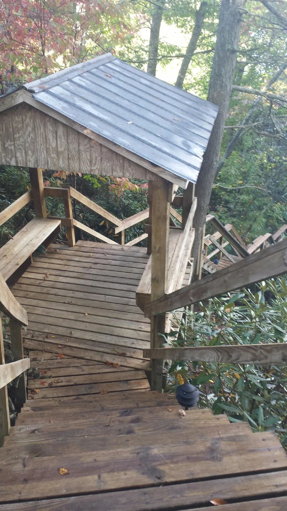Metal roofed shelter over wooden steps on a wooded walkway — Skylight Repair & Installation work by our crew in Huntly